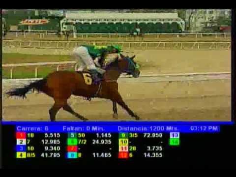 Resumen Sábado, 07 de Febrero de 2015 - La Rinconada