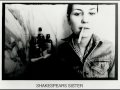 Shakespears Sister - A loaded gun (2009)