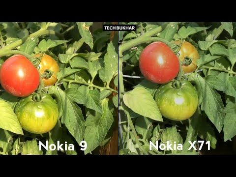 Nokia X71 vs Nokia 9 CAMERA COMPARISON || #NokiaX71, #TECHBUKHAR, #Nokia9, #CameraComparison