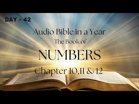 Audio Bible In A Year  DAY 42