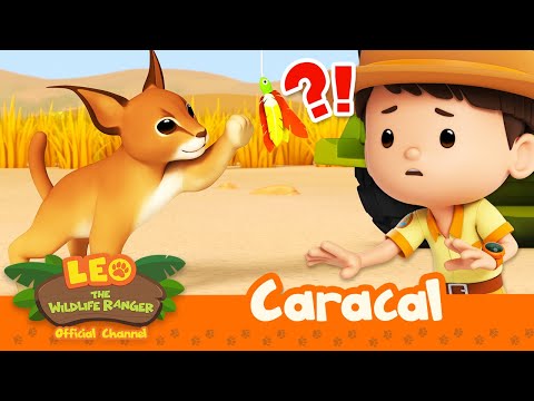 Witness21  2023 06 17