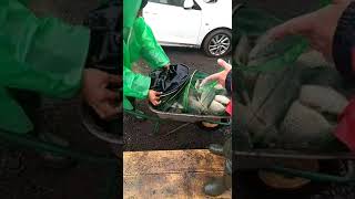 Рыбалка лагуна д еганово форум