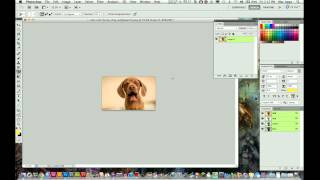 Photoshop CS5 Tutorial - How to Resize an Image