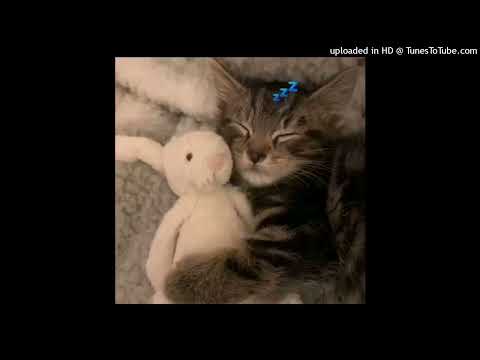 FREE lunico x хестон x aquakey type beat