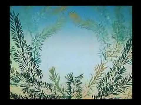 Pohádky z mechu a kapradí - Jak křemílek a vochomůrka zabloudili v bedlovém lese