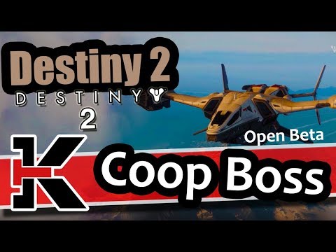 Destiny 2 Beta Co-op Final Boss