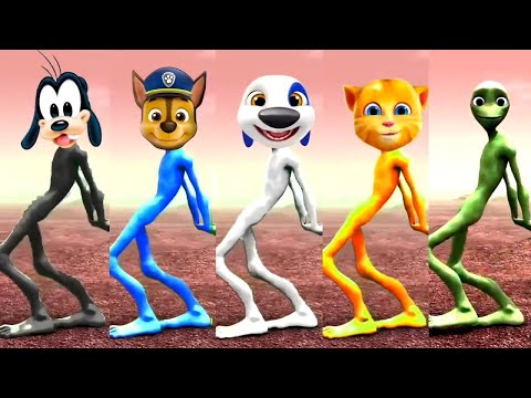 Dame Tu Cosita FULL HD | All Variation Dame Tu Cosita Music Video 2025
