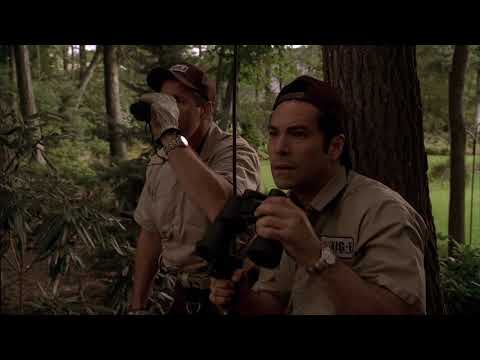 Patsy bosszúja - Maffiózók