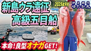 【新島ウラ遠征五目】高級魚多彩・良型オナガダイGET！新島裏遠征高級五目釣り★初挑戦・初乗船・乗船の流れ説明あり★熟成絶品オナガダイ料理【伊豆網代 ゆたか丸】(4K動画)2025.9.15