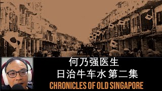 Ho Nai Kiong – War in Chinatown Part 2 | Chronicles of Old Singapore 何乃强 – 战阵时期的牛车水第二集 | 旧新加坡记事录