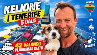 Kelionė į Tenerifę (5 dalis)