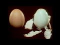 Sesame Street An Egg Puts Itself Together