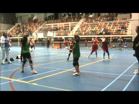 Trivos mini's Regiokampioenschappen