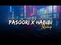 Pasoori X Habibi Mashup ‎ SAY3M