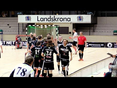 SST NET Falcons JAS vs FBC Engelholm 2016-10-11