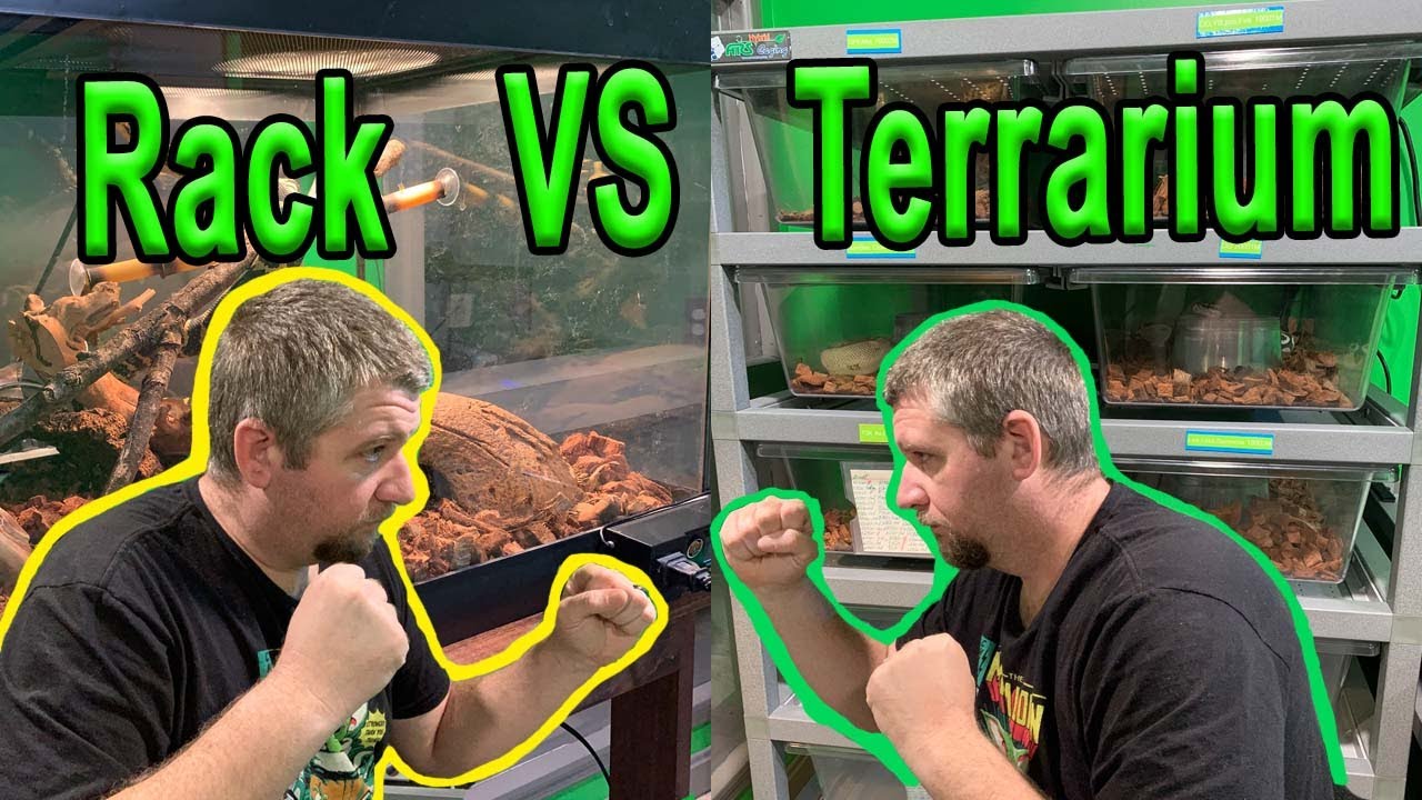 Rack Systems Vs. Glass Enclosures