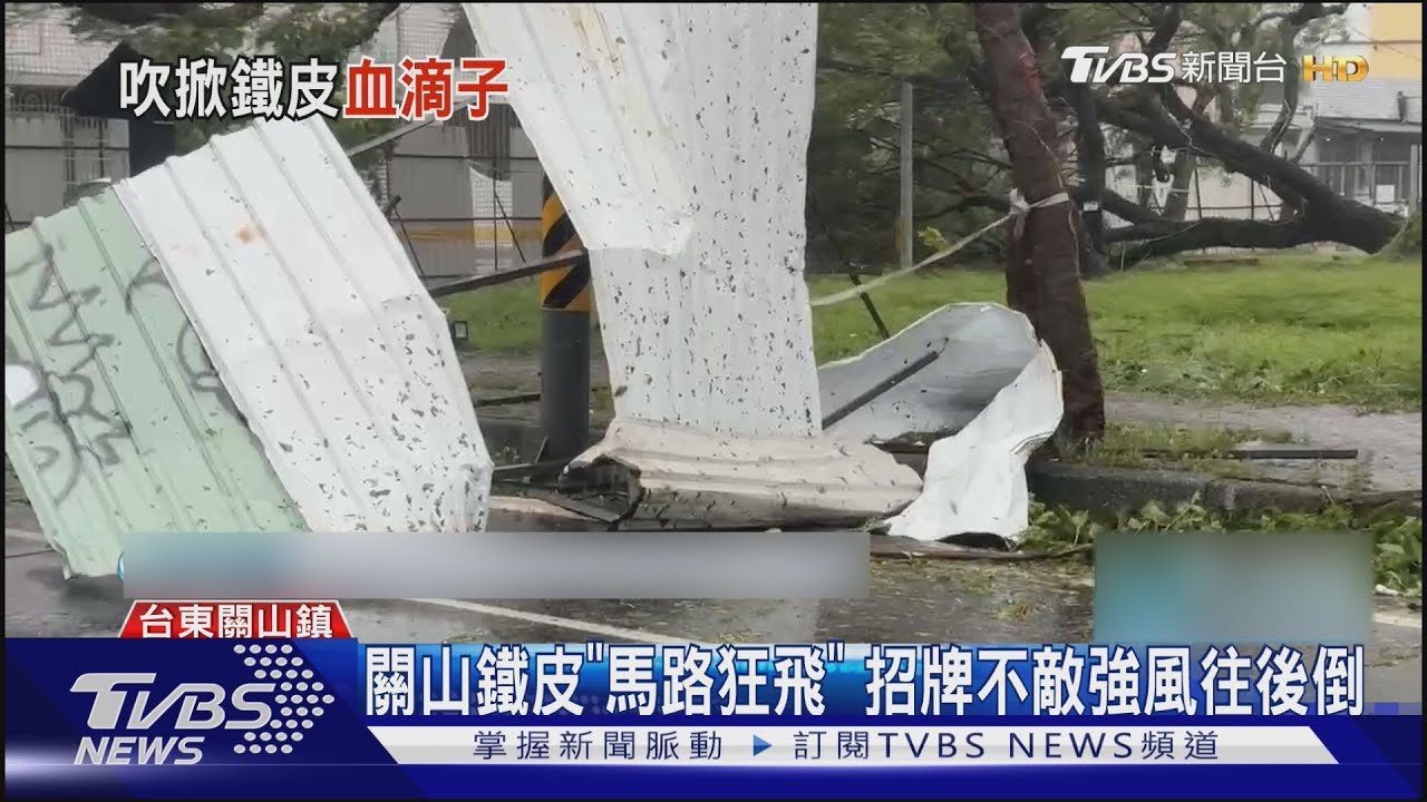 卑南路樹連根拔起 電線桿中空險被強風吹斷