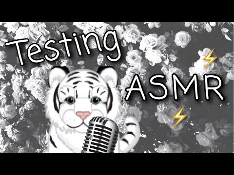 ASMR - Webkinz - Ramble/random/tapping/triggers