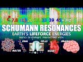 Schumann resonances basics, biology, & bioelectricity