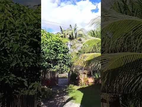 pra quem ama a natureza 🎋... como é bom está emeio a ela. amo este lugar Esperantina pi