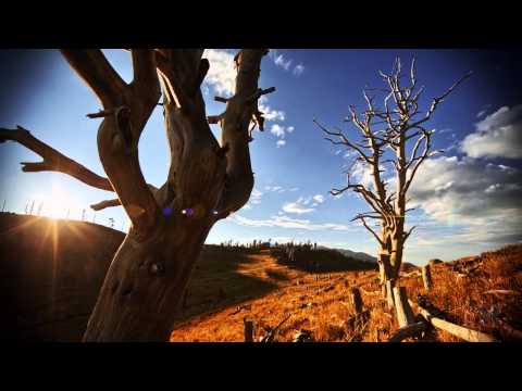 Pawbeats & Killing Skills - Sky of clouds