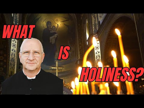 Holiness Conference 1/5: What is Holiness? How Sanctifying Grace Transforms Your Soul~ Fr. Ripperger