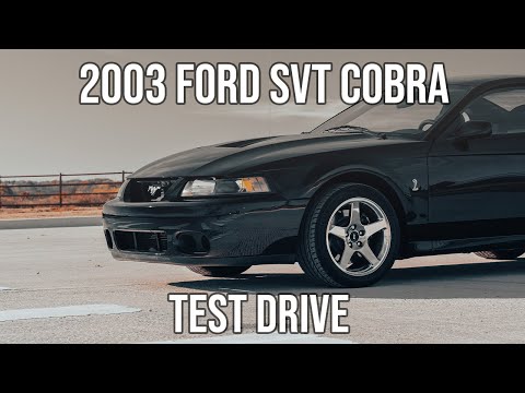 2003 Ford Mustang SVT Cobra (CC-2030140) for sale in Sherman, Texas