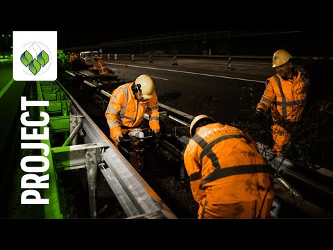 Met 30 man planten bij de nieuwe RijnlandRoute A44 in de nacht! 🌃 | PROJECT UITGELICHT
