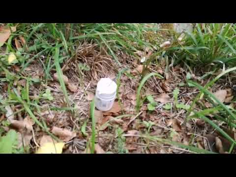 Petardo  artigianale da 13 grammi