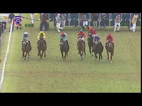 RM11 R6 | Duke's Domain | P.K.Horil