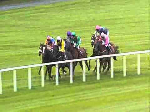 Coolmore Fusaichi Pegasus Matron Stakes 2011