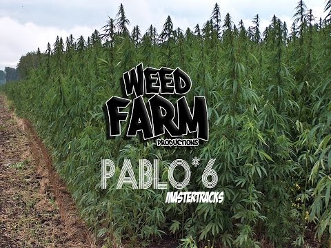[MASTER TRACK *6] PABLO CARROUCHÉ / SUDDAK (Weed Farm Productions)