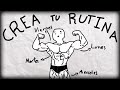 How To Create The Perfect Gym Routine