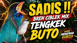 Download lagu 🔥 Tembakan Edan! Brem Ciblek Mix Tengkek Buto – Masteran Kasaran Ngristal Naikin Fighter mp3