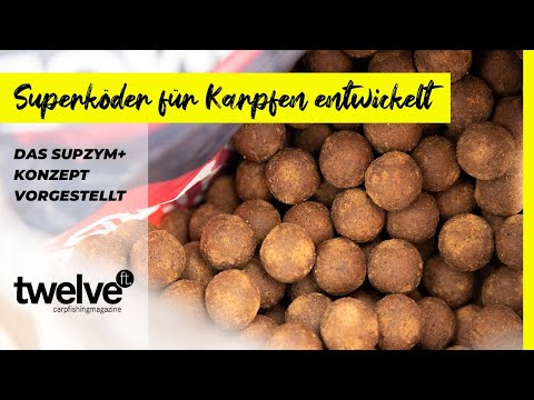 Der Superköder für Karpfen - Die SupZym+ Range von Supreme Baits | Enzyme | Boilies |