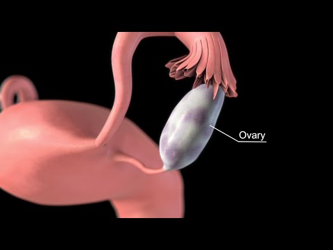 Cancer uterin simptome tratament