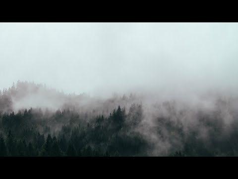 Rhekluse // Keeping Distance