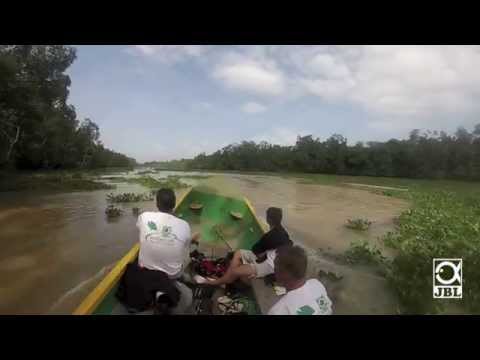 Vorschau auf die JBL Expedition 2016: Venezuela - Orinoco