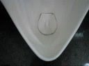 toto u507ストール形小便器1 urinal flushing