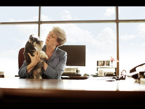 Purina - Driving High Quality Dog Food Forward With a Passion for Innovation