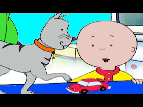 קאילו 401 - איפה גילברט? / איפה ראיתי את זה לאחרונה / אבודים בג 'ונגל / Caillou