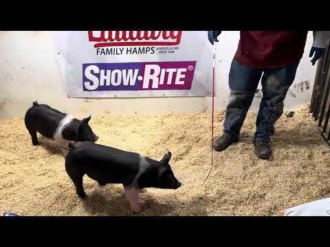 1-7 Off The Charts x DFH KAT