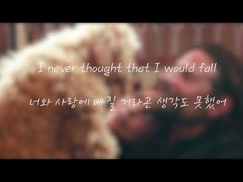 [ 스타 이즈 본 OST ] Lady Gaga - I'll Never Love Again (가사/해석)