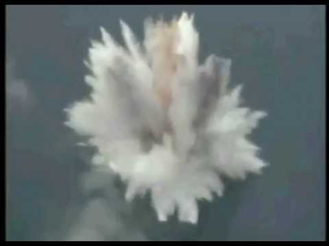 Une arme dévastatrice, la torpille