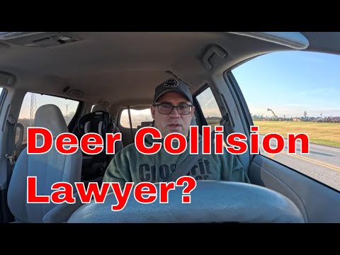 Do You Need an Attorney After Hitting a Deer?
