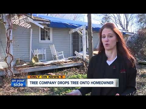 Elderly man injured after company cut down tree, sent it crashing into Sagamore Hills home