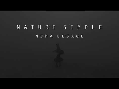 Numa Lesage  - Morning (original mix)