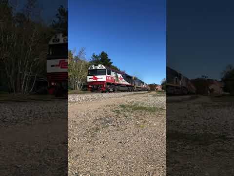 TRAINS AM22 SCT Logistics 2PM9 SCT002 CF4403 CSR002 09/09/2021 Nairne