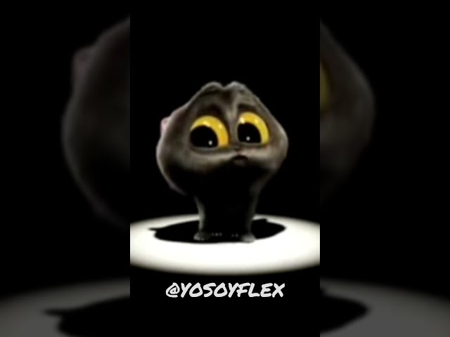 Vídeo relacionado con Camisa de manga corta para hombre con motivos de gatos negros, camisa de ocio amarilla con estampado de animales | Divertida camisa de verano para amantes de los gatos, Style_v01 Negro, XL