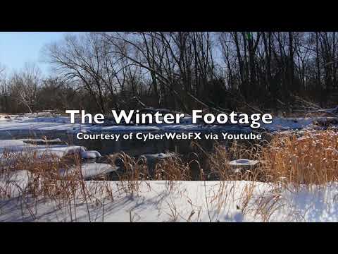 GIUFJ - LNJ 4 - 2x Moog + Prophet Rev 2 - No talk Just Music